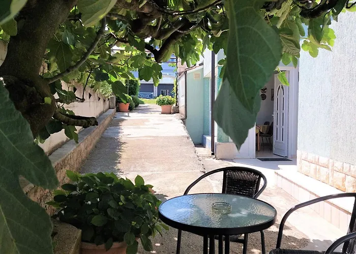 Apartments Paliska