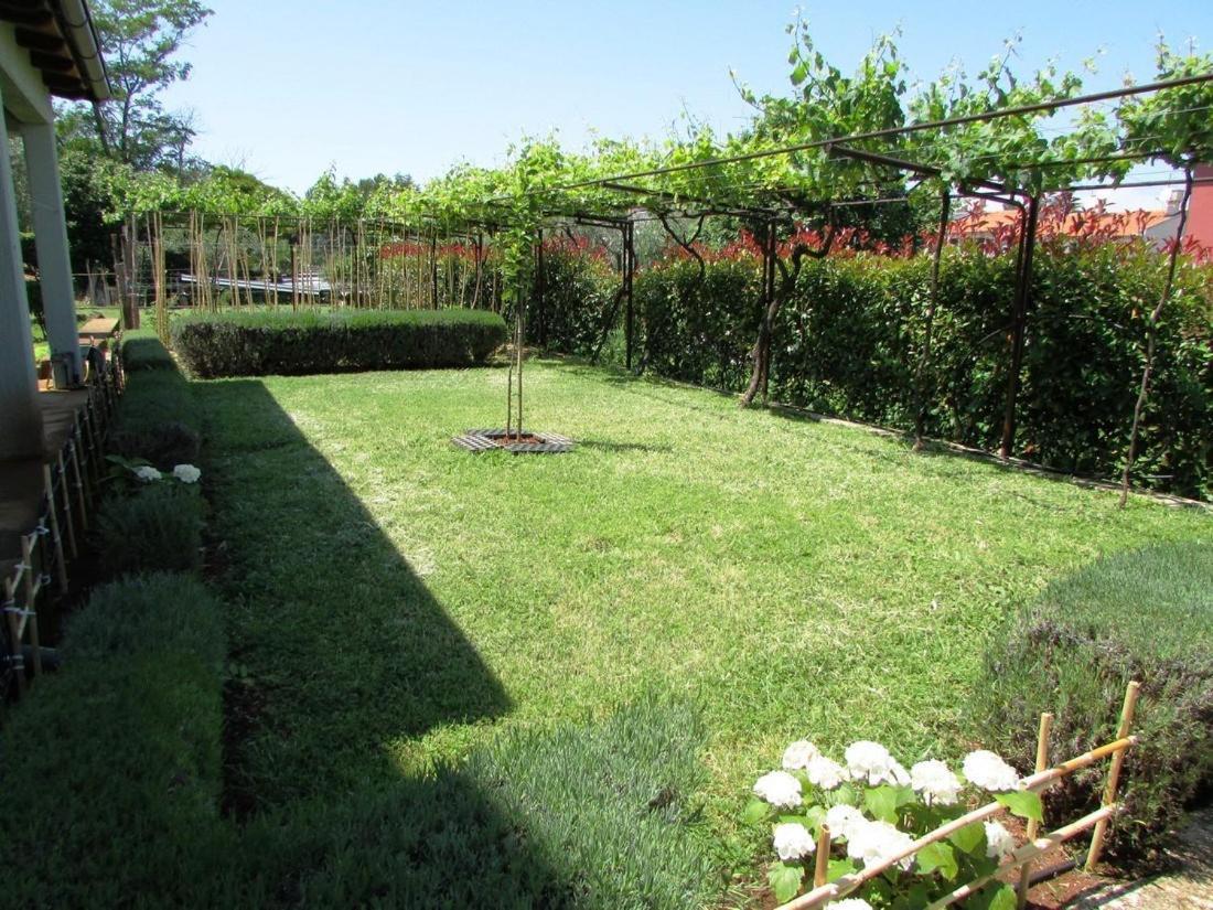 Paliska Apartment Umag
